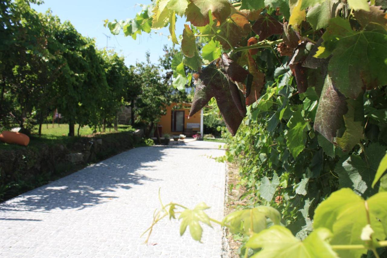 Casa Matreiro Βίλα Prozelo Εξωτερικό φωτογραφία