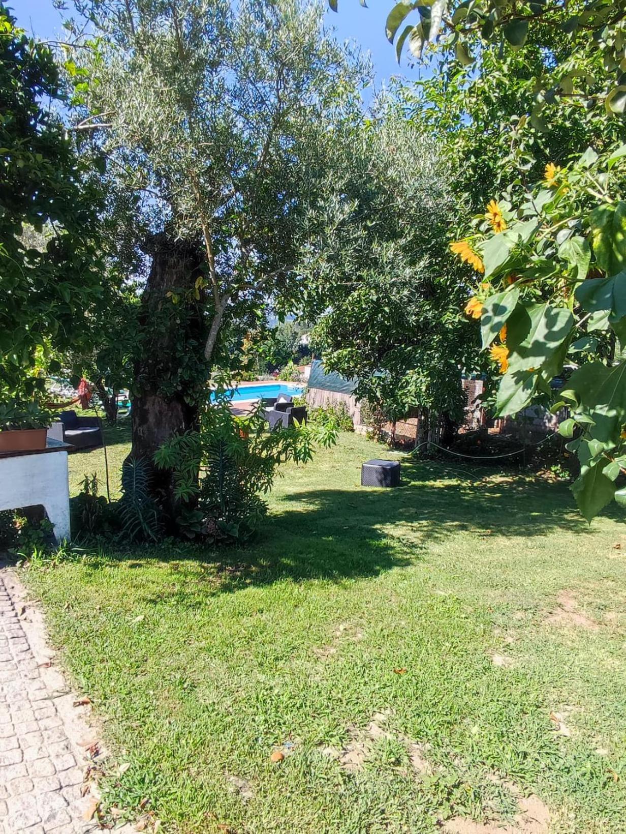 Casa Matreiro Βίλα Prozelo Εξωτερικό φωτογραφία